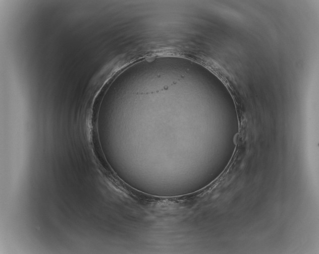 X0000111360290200907101236