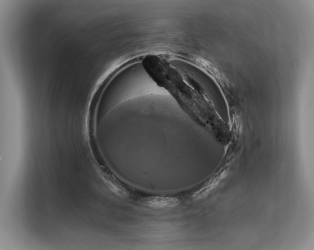 X0000111360292200907101236