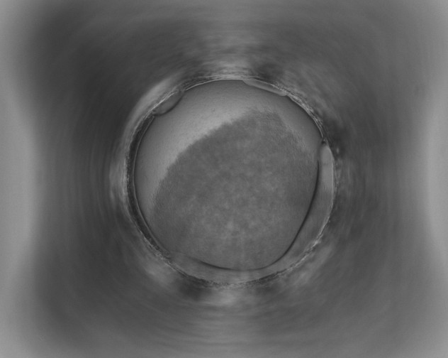 X0000111360293200907101236
