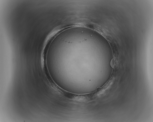 X0000111360294200907101236