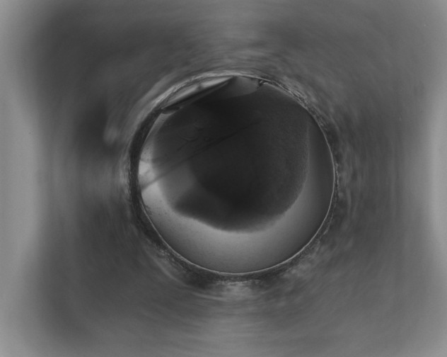 X0000111360295200907101236