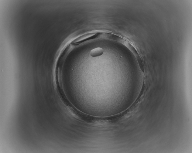 X0000111360296200907101236
