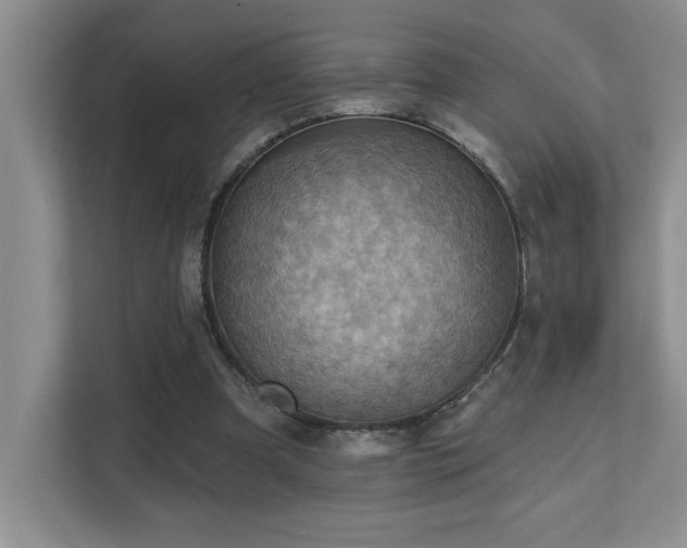 X0000111360297200907101236