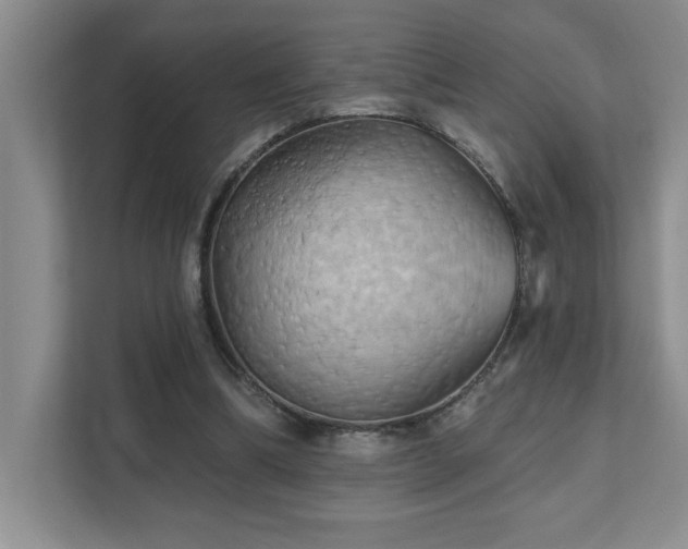 X0000111360298200907101236