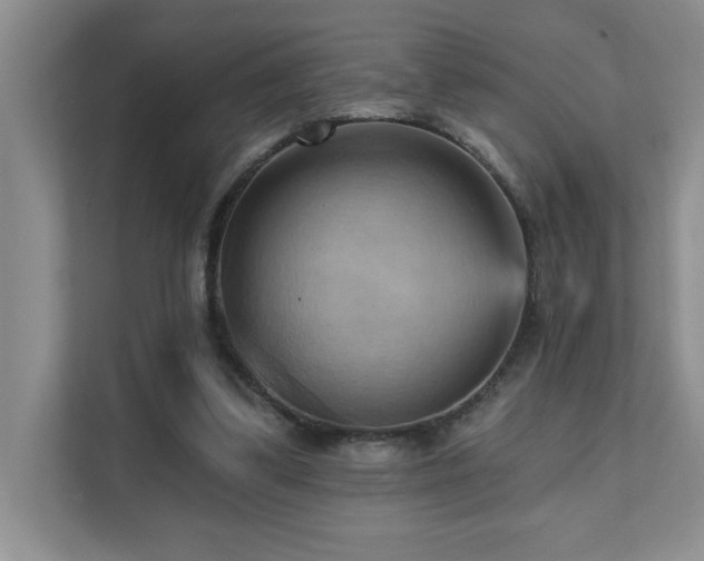 X0000111360299200907101236
