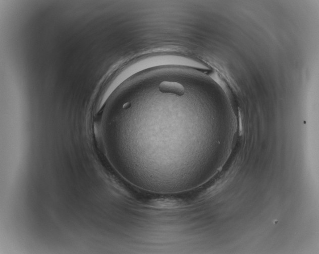 X0000111360300200907101236