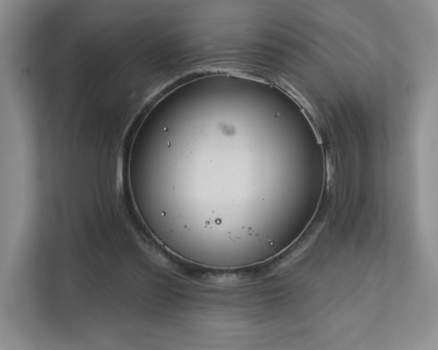 X0000111360301200907101236