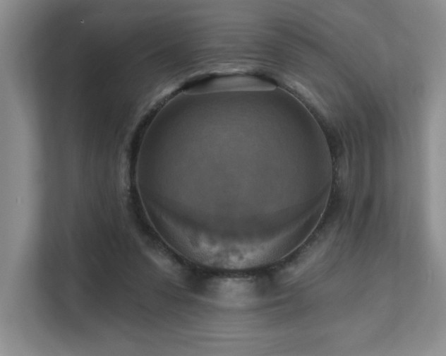 X0000111360303200907101236