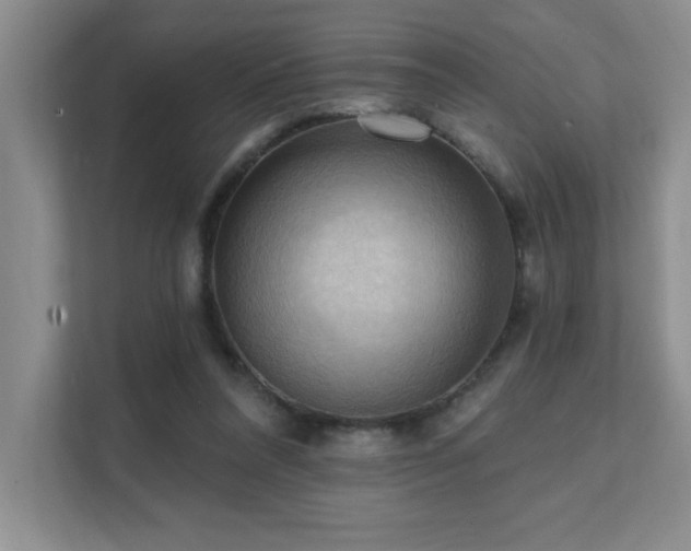 X0000111360304200907101236