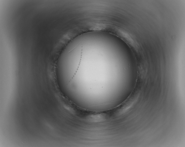 X0000111360307200907101236