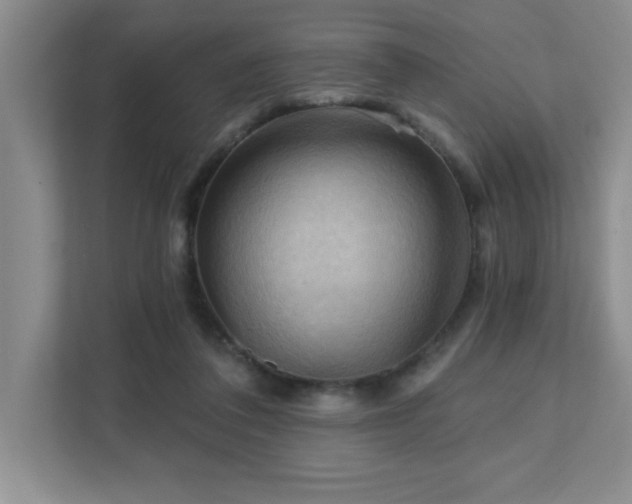X0000111360308200907101236