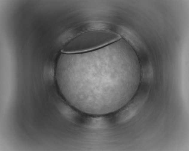 X0000111360309200907101236