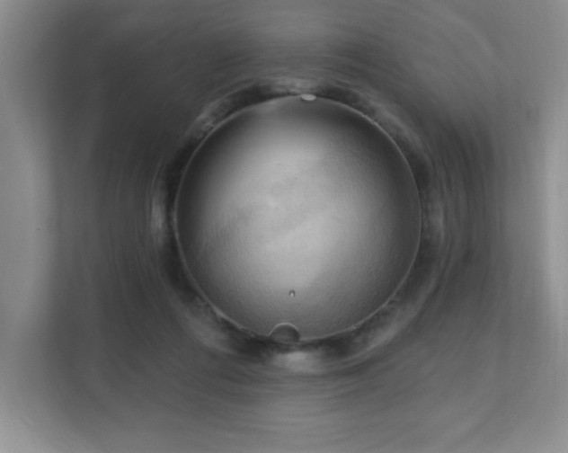 X0000111360312200907101236