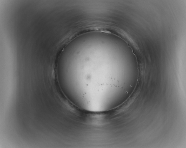X0000111360313200907101236