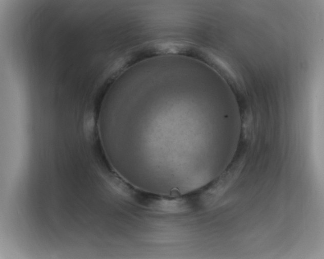 X0000111360314200907101236