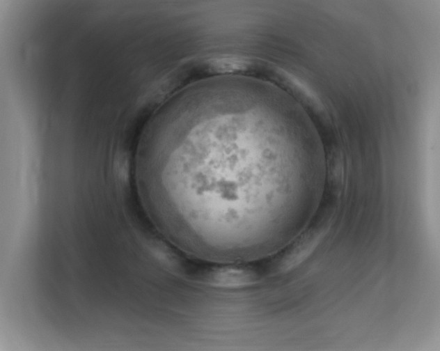 X0000111360315200907101236