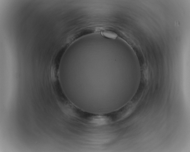 X0000111360316200907101236