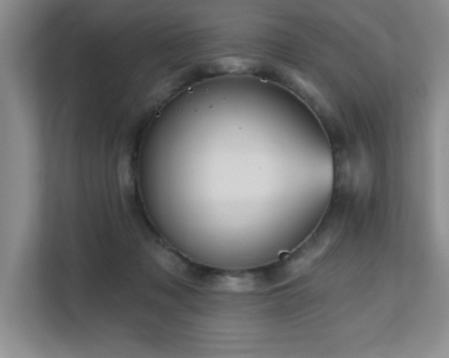 X0000111360317200907101236