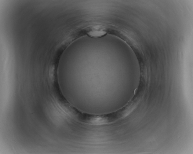 X0000111360319200907101236