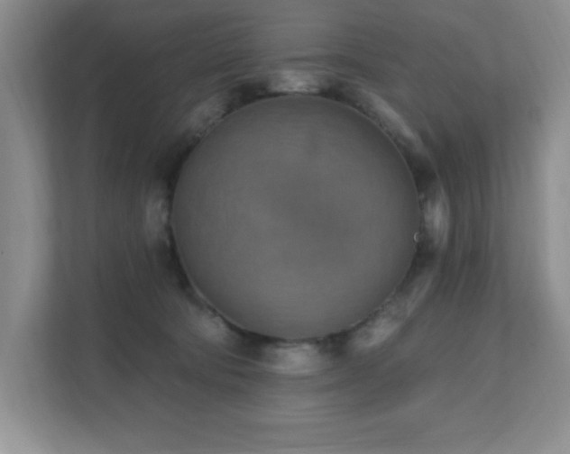 X0000111360322200907101236