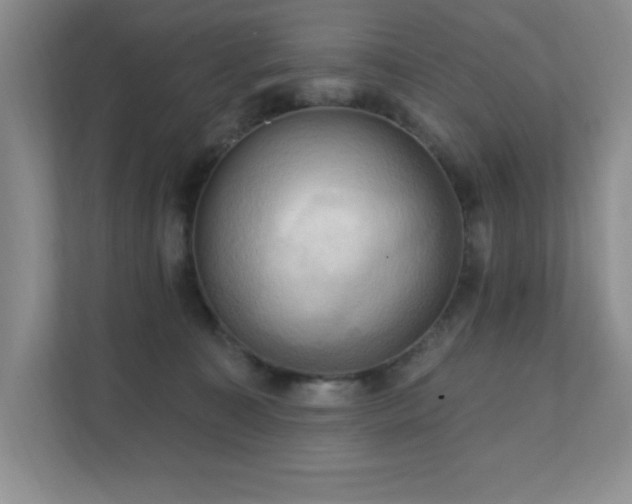 X0000111360323200907101236