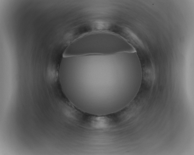 X0000111360324200907101236