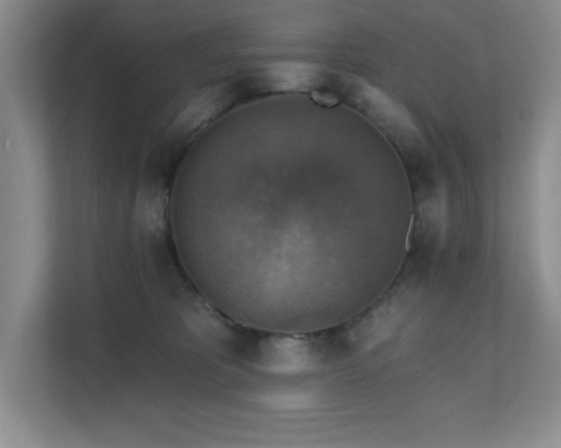 X0000111360325200907101236
