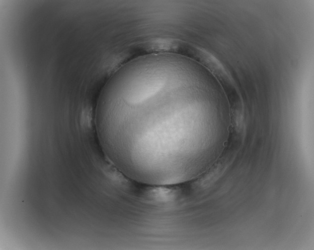 X0000111360326200907101236
