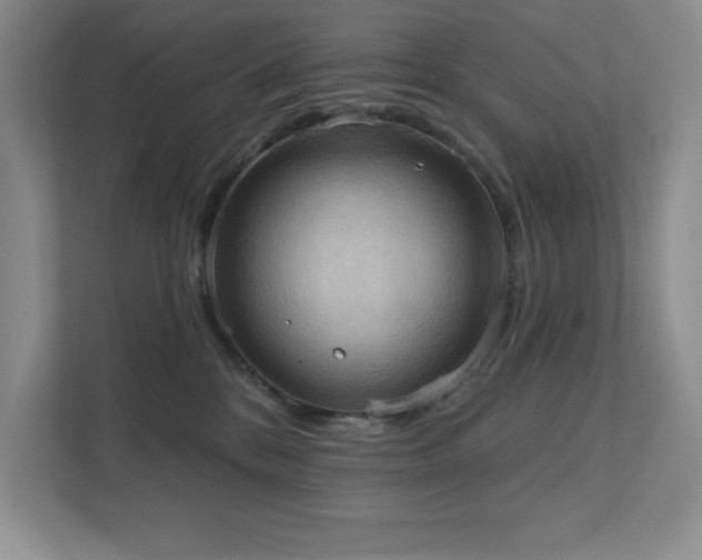 X0000111360328200907101236