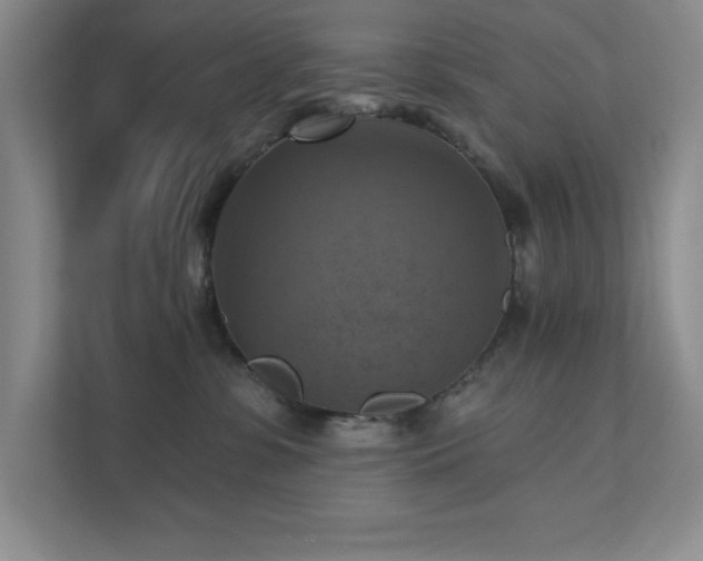 X0000111360331200907101235