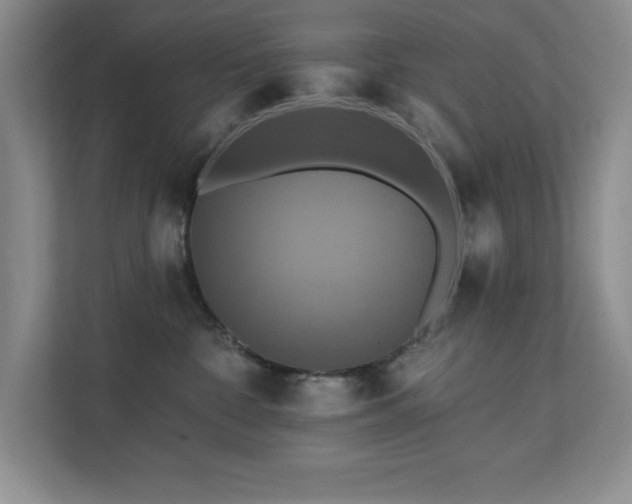X0000111360332200907101235