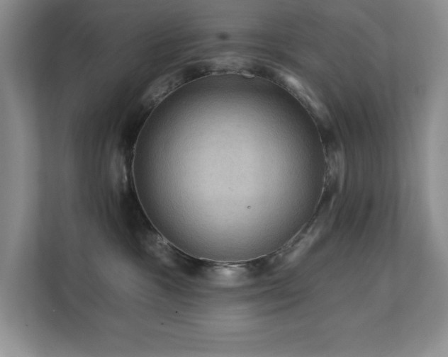 X0000111360333200907101235