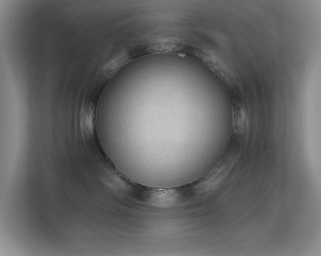 X0000111360334200907101235