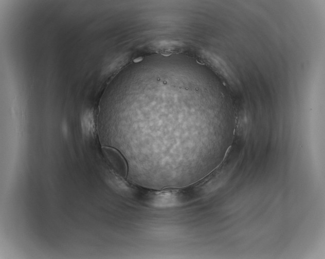 X0000111360335200907101235