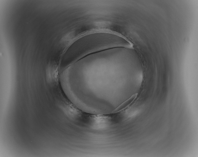 X0000111360336200907101235
