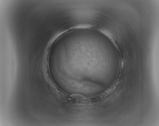 X0000111360337200907101235