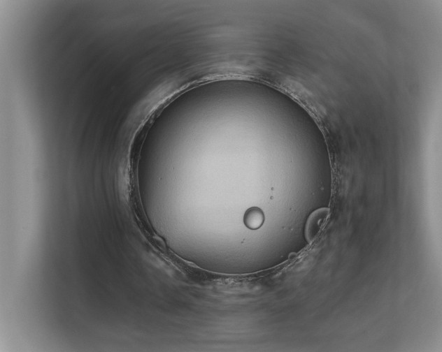 X0000111360338200907101235