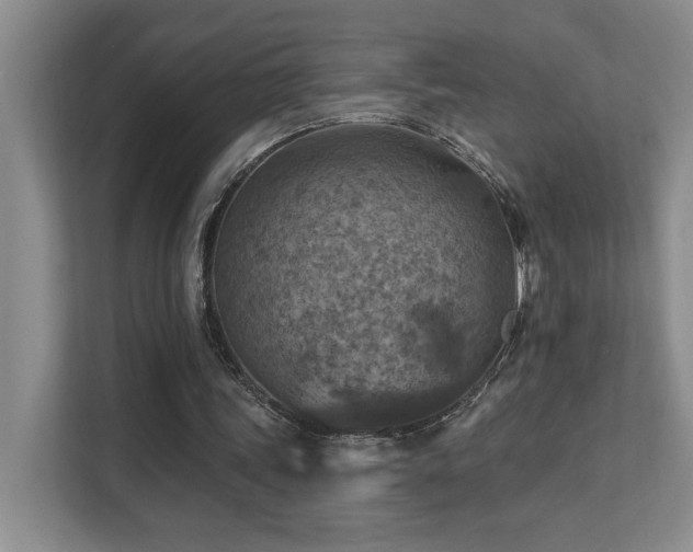 X0000111360339200907101235