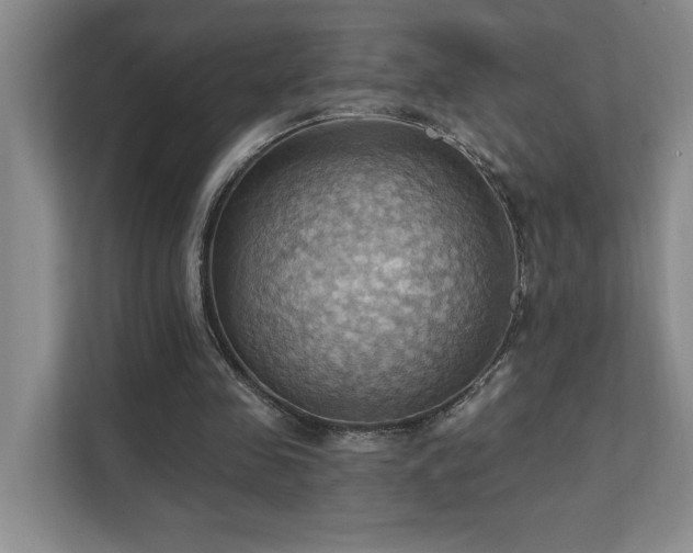 X0000111360341200907101235