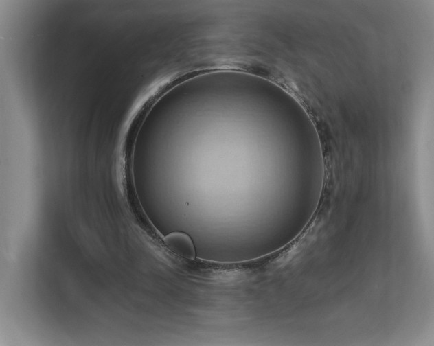 X0000111360342200907101235