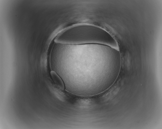 X0000111360344200907101235