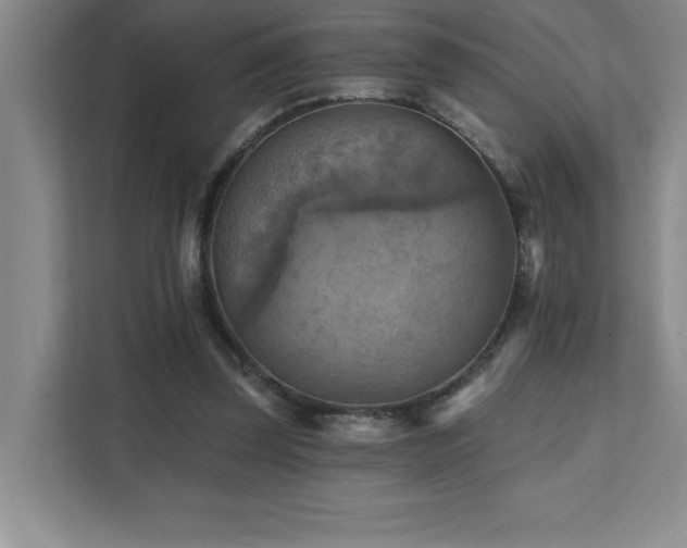 X0000111360347200907101235