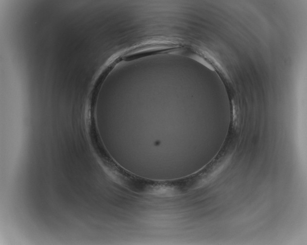 X0000111360348200907101235