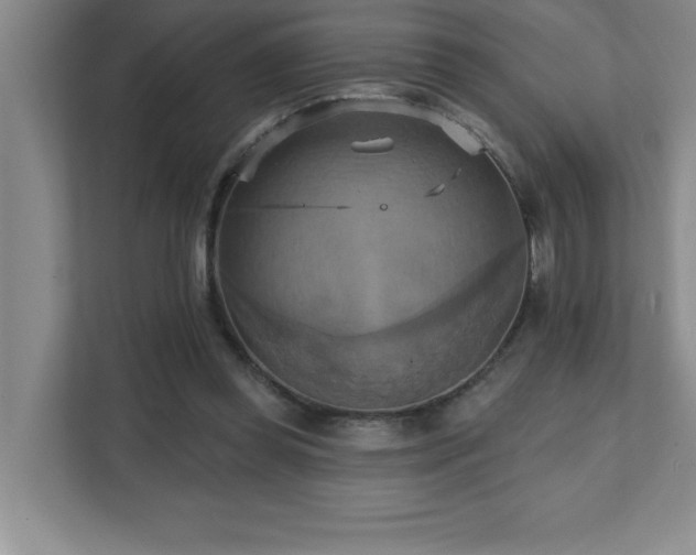 X0000111360349200907101235