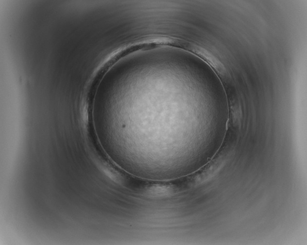 X0000111360350200907101235