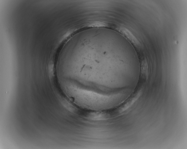 X0000111360351200907101235