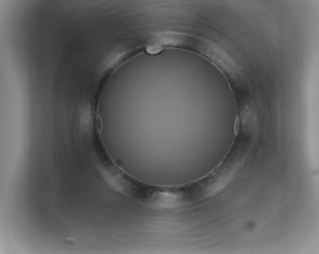 X0000111360352200907101235