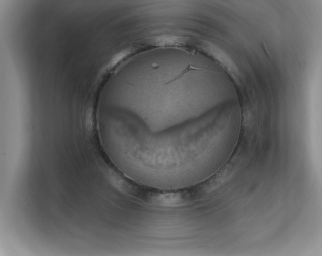 X0000111360353200907101235