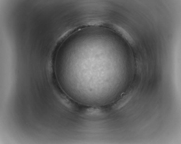 X0000111360354200907101235