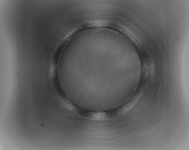 X0000111360355200907101235